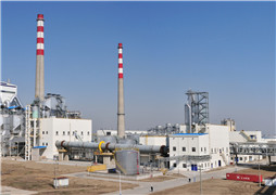 江蘇王子製（zhì）紙有限公司新建年產80萬噸版（bǎn）紙項目年產71.4萬噸漂白化學闊葉（yè）木漿生產線及其配套工程項目